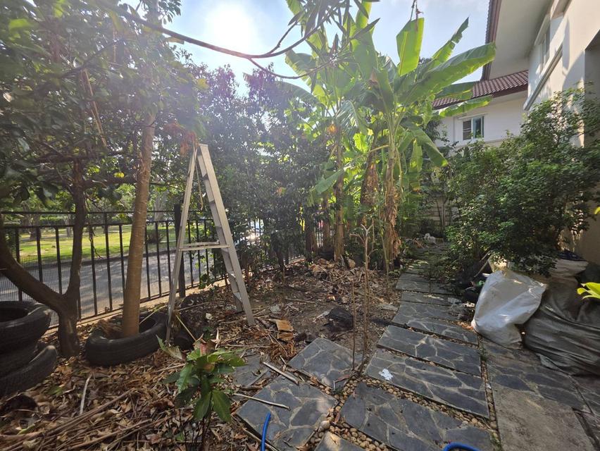 บ้านเดี่ยว 2 ชั้น 4 ห้องนอน 3 ห้องน้ำ 2 ที่จอดรถ มบ.ธารา ราชพฤกษ์ ปิ่นเกล้า หลังหัวมุม + ติดสวนหย่อม 11