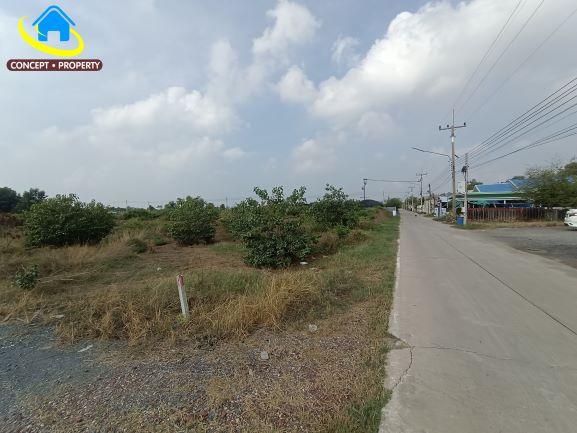 ขายที่ดิน 6 ไร่ ถมแล้ว ถนนประมง หมู่ 7 โคกขาม อำเภอเมืองสมุทรสาคร 2