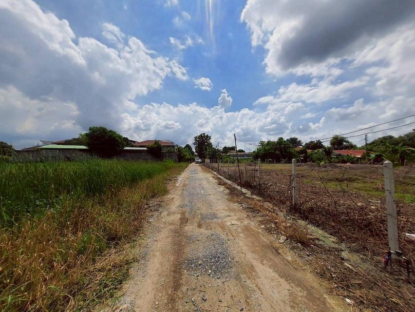 ขายด่วน ที่ดินพุทธมณฑลสายสาม 360 ตารางวา ถมแล้วทั้งแปลง ซอย 19 แยก 6-12 เขตทวีวัฒนา กทม. 10