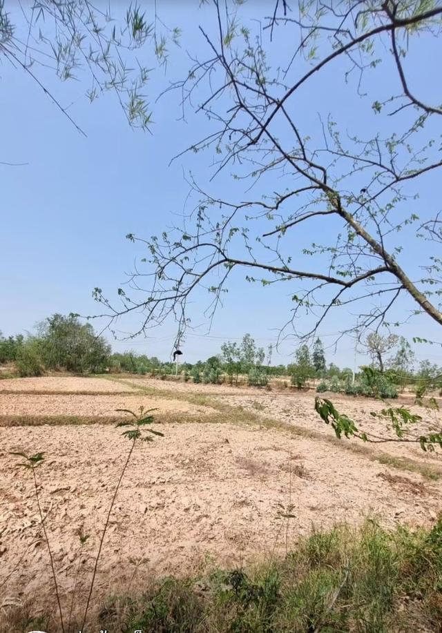 ขายที่ดินบ้านแดงใหญ่ ขอนแก่น 3