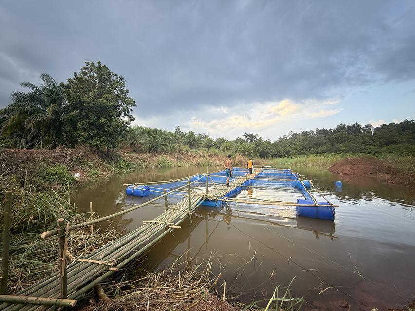 ขายที่ดิน พร้อมที่พักอาศัย 13