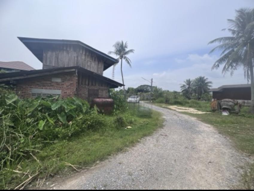 บ้านเดี่ยวพร้อมที่ดิน 10