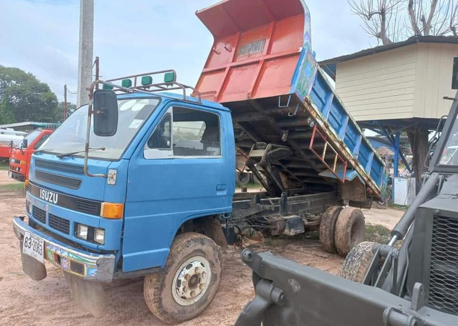 ขายรถ 6 ล้อดั้มพ์ ISUZU NPR115