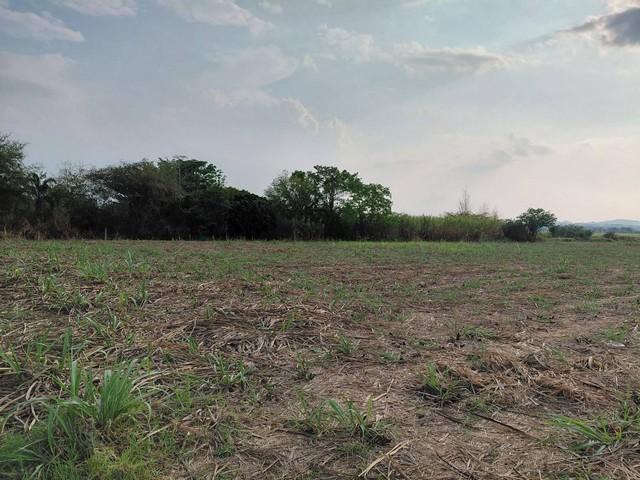 บอกขายที่ดินทำเลดีราคาคุยได้ ที่ปากช่อง 2ไร่- 8ไร่ โฉนด ต.วังไทร อ.ปากช่อง จ.นครราชสีมา ไร่ละ 2.9 ลบ.สูงจากระดับน้ำทะเลม 2