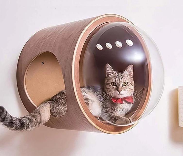 โดมอะคริลิคแมว หลุมอวกาศแมว 1