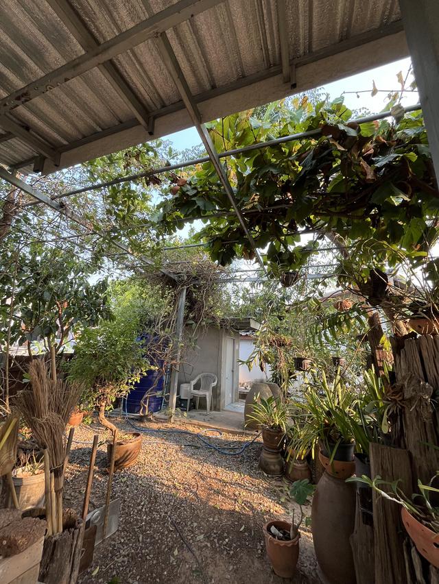 🔥 ที่ดินวิวพระอาทิตย์ตก ใจกลางอุดร 100 ตรว. ทำเลหายาก! ใกล้ UD TOWN 🌅 7