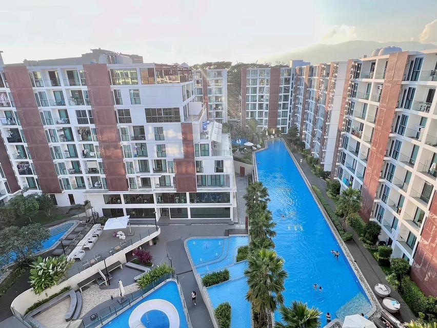 พื้นที่เล็กๆ ที่อบอวลด้วยความสบาย...พร้อมให้เช่าแล้ววันนี้ 6