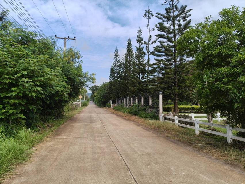 ขายที่หนองน้ำแดง เขาใหญ่ ใกล้ธนะรัชต์ 3 ไร่ ที่ดินวิวเขาสวยล้อมรอบ ใกล้ภูเขา ใกล้มอเตอร์เวย์M6 เดินทางสะดวก ใกล้ตัวเมืองปากช่อง ตลาดร้านค้า โรงพยาบาล 5