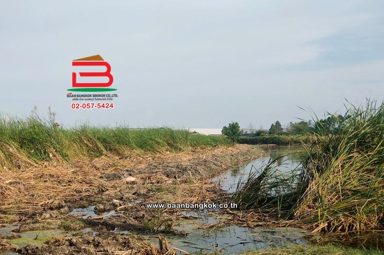 ที่ดินเปล่า เนื้อที่ 30-1-53 ไร่ ใกล้การไฟฟ้าบางปะกง ถนนบางนา-ตราด กม.52 ฝั่งขาออก ตำบลบางปะกง อำเภอบางปะกง ฉะเชิงเทรา 5