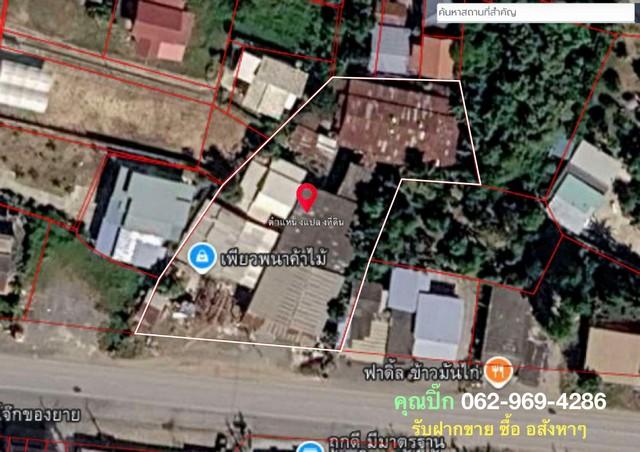 ขายที่ดินทำเลบางบาล อยุธยา ต.มหาพราหมณ์ อ.บางบาล จ.พระนครศรีอยุธยา 4