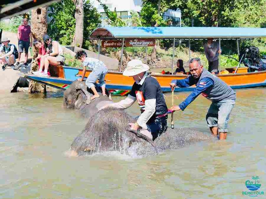 โปรแกรม AY224 ทัวร์อยุธยา One day trip  by Bemotour  นักท่องเที่ยวไทย : ท่านละ 1,500 บาท 10