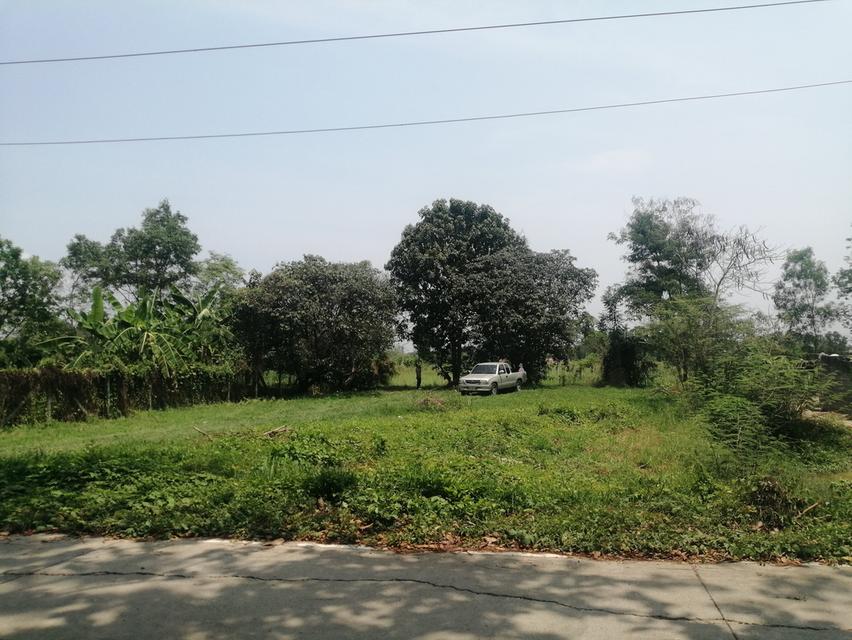ขายที่ดินถมแล้ว 200 ตารางวา จังหวัดนครนายก 5