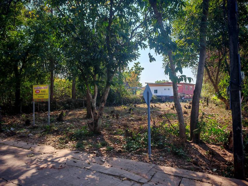 ขายที่ดินสวย ใกล้ทางหลวง ตำบลหนองบัว เมืองอุดรธานี รูปย่อยที่ 2