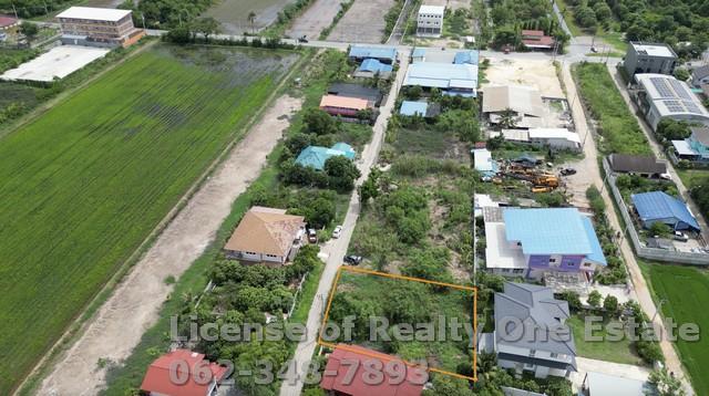 ขายที่ดิน ถมแล้ว แปลงสวย ถ.บ้านกล้วย อ.ไทรน้อย จ.นนทบุรี 5