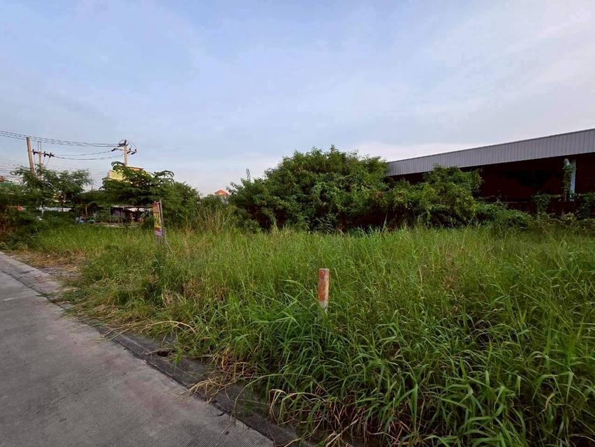 Vายที่ดินทำเลดี 96.5 ตารางวา ติดถนนคอนกรีตสาธารณะ ถมแล้ว สวัสดิการ 1 ซอย 1 หนองแขม กรุงเทพมหานคร 5