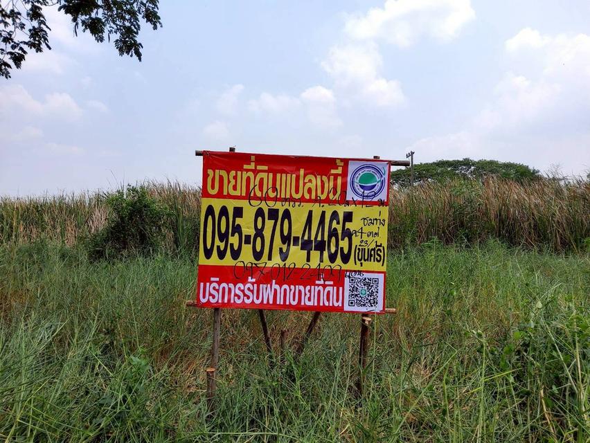 ขายด่วนที่ดิน 60 ตรว ติดถนนสาธารณะ ถมแล้ว ซ.คลองสี่ ตต.23/1(ซอย ชมทุ่ง) คลองหลวง ปทุมธานี 6