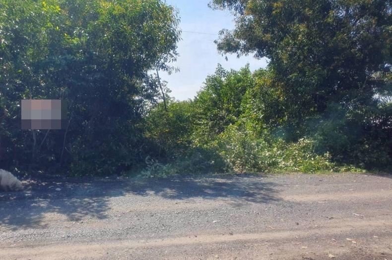 ที่ดินเปล่า เนื้อที่ 819 ตร.ว. ซอยเอราวัณ 19/1, ติดบริษัทฟาร์มสีสด ถนนคลองหลวง ตำบลคลองสอง อำเภอคลองหลวง ปทุมธานี 2