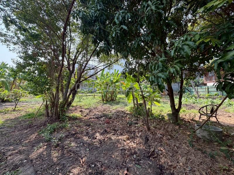 ขายที่ดิน 3 แปลง 554 ตรว ซอยกรุงเทพนนท์ 2 แยก 3 ติดถนนสาธารณะ ทำเลศักยภาพ ใกล้เมือง เดินทางสะดวก 5