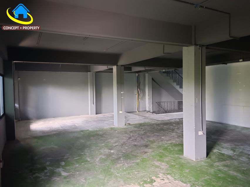 ขายอาคารพาณิชย์ 60 ตารางวา ติดถนนเฉลิมพระเกียรติ ร.9 สวนหลวง อุดมสุข ประเวศ อ่อนนุช บางนา พัฒนาการ ศรีนครินทร์ 3