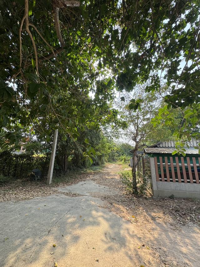 ที่ดิน 3