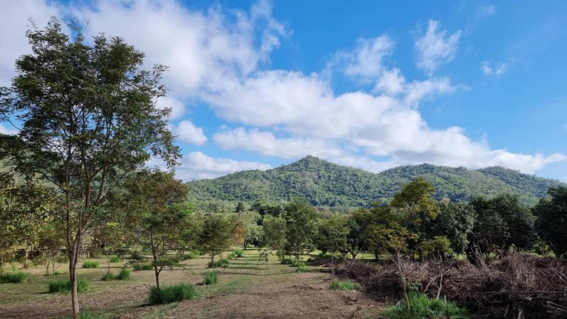 ขายบ้านสวนเขาใหญ่ พร้อมสวนผลไม้ ไม้เศรษฐกิจ ที่ดิน19ไร่ เขาวง หนองน้ำแดง ปากช่อง วิวเขาสวย ติดถนนลาดยาง7165 ใกล้มิตรภาพ มีภบท.ท้ายที่อีก9ไร่ รวม27ไร่ 7