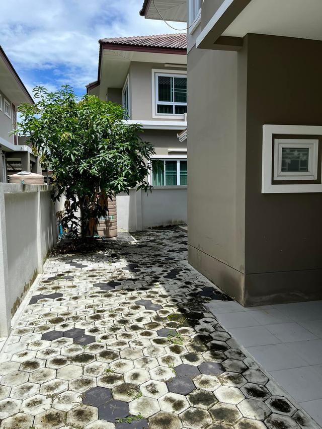 🏠 บ้านเดี่ยวพื้นที่เยอะ 56.2 ตรว. 3.3 ล้านบาท ฟรีโอน! ฟังก์ชันครบพร้อมอยู่ นัดชมได้ครับ/ค่ะ 🔑 10