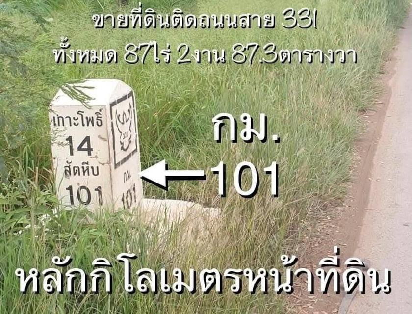 ขายที่ดิน  104 ไร่ หนองไก่เถื่อน พนัสนิคม ขาล่องสัตหีบ ติดถนนใหญ่ 2