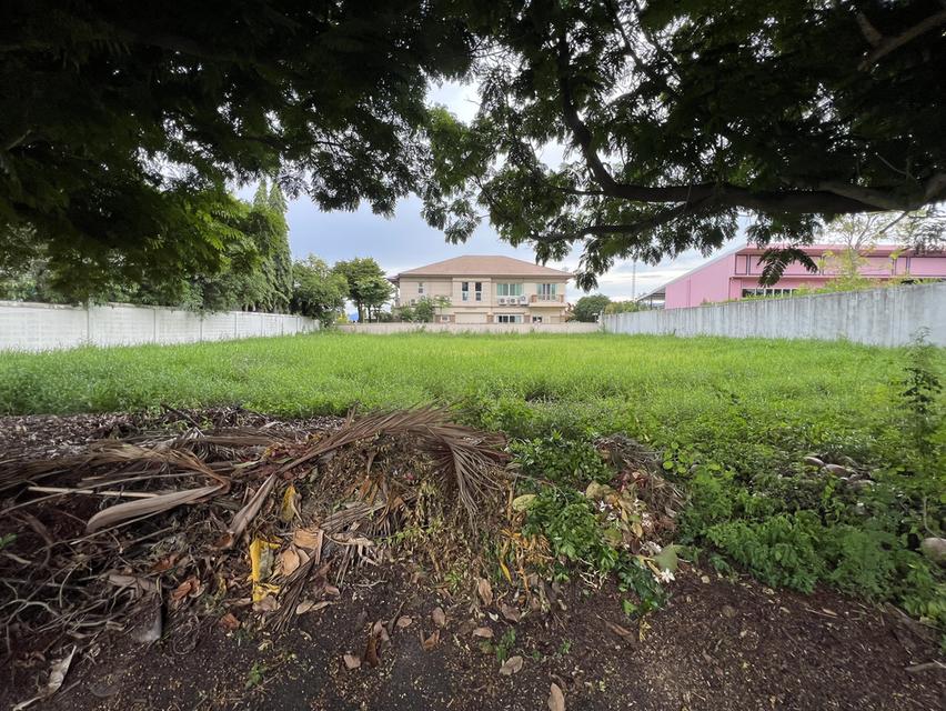 ที่ดินกรีนวัลเล่ 281 ตรว 1