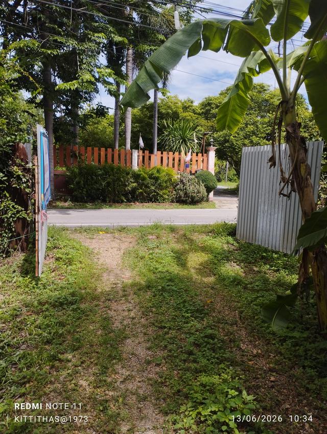ที่ดินและบ้านเก่าอายุ60ปี 4
