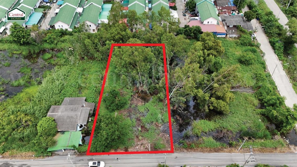 ที่ดินเปล่า 285 ตร.วา ซอยบงกช 55 คลอง 2 ปทุมธานี 10