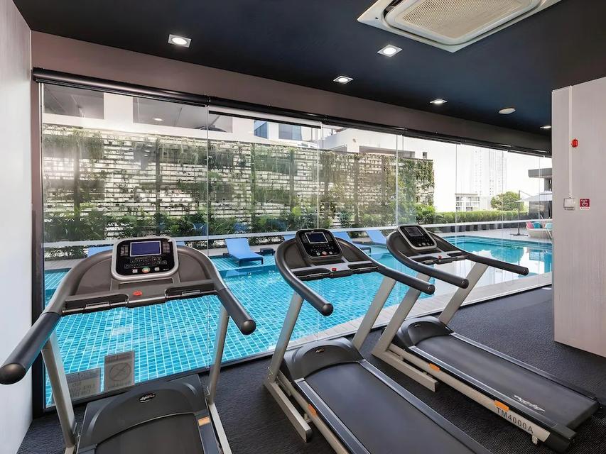 เอสเตลล่า เอกมัย Estella Ekamai 19