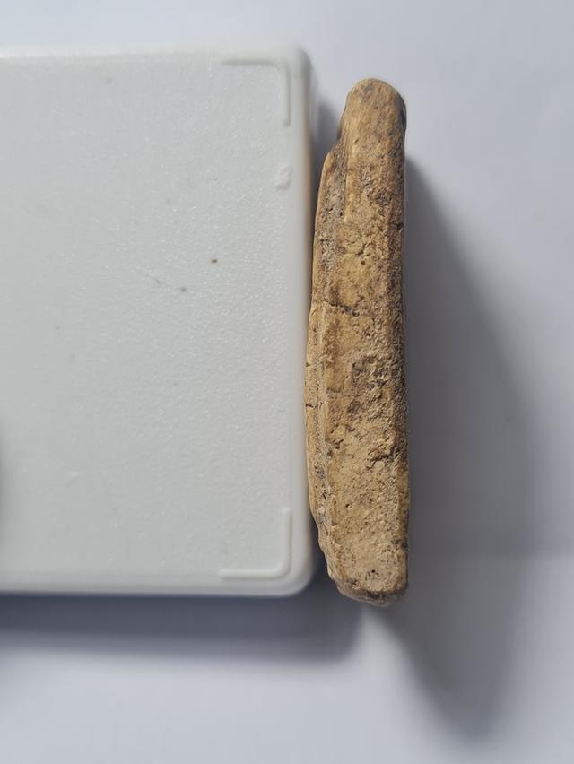 พระเนื้อผง เนื้อดิน. รูปที่ 12