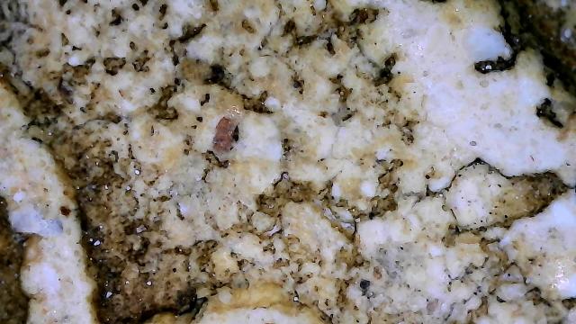 พระสมเด็จโตลงรักปิดทอง รูปที่ 7