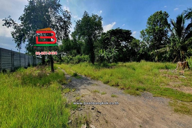 ที่ดินเปล่า เนื้อที่ 24-3-8 ไร่ ซอยสุทธิพันธ์ (ระหว่างซอยเลียบคลองหกตะวันตก 31-33) ถนนรังสิต-นครนายก ตำบลคลองหก อำเภอคลองหลวง ปทุมธานี 6