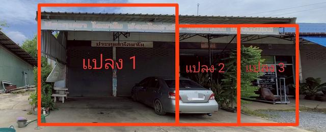ขายด่วน-ที่ดินติด ถ.นครชัยศรี ใกล้มอเตอร์เวย์ถึง 2 สาย (เจ้าของขายเอง) 2