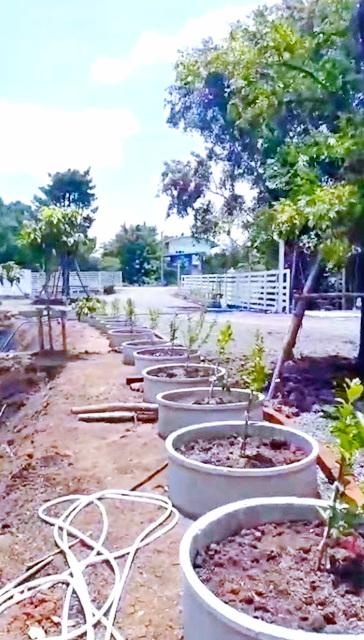 ร้านพี่ญาคนรุม 3 กม.ตลาดชุมพล 1.2 กม. ให้เช่าบ้าน พร้อมออฟฟิศ 3 ไร่ รังสิตคลอง 3 7นอน 7น้ำ ทำเลดี สวนน้ำเปรม วอร์เตอร์ปา 6