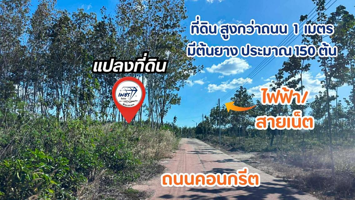 ที่ดิน สวนยางพารา ทำเลดี วิวภูเขา อ.แกลง จ.ระยอง 3