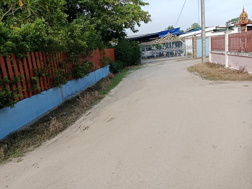 ขายบ้านตะเคียนเตี้ยจำนวน 1 ไร่บ้านพร้อมสิ่งปลูกสร้าง 13