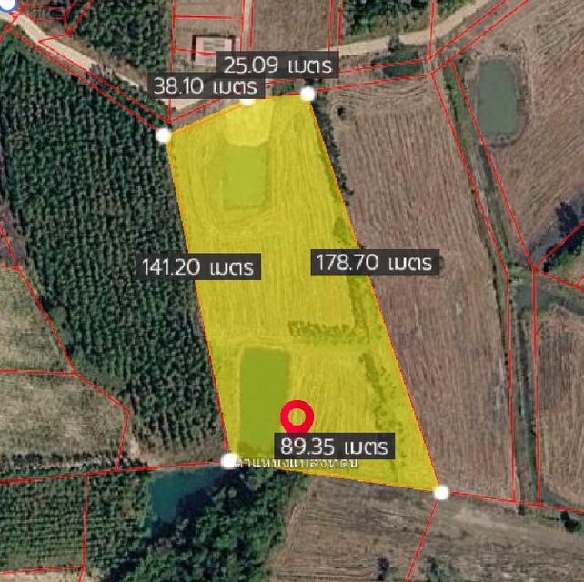 ขายที่ดินหัวหว้าสีม่วง 6 ไร่ ถมแล้วติดถนนคอนกรีต หลังนิคมโรจนะปราจีนใกล้อบต.หนองโพรง2กม. อ.ศรีมหาโพธิ ปราจีนบุรี 3