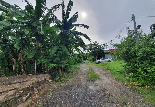 ขายที่ดิน ซอยรามอินทรา 47 ท่าแร้ง บางเขน กรุงเทพมหานคร เนื้อที่ 100 ตร.ว. 8