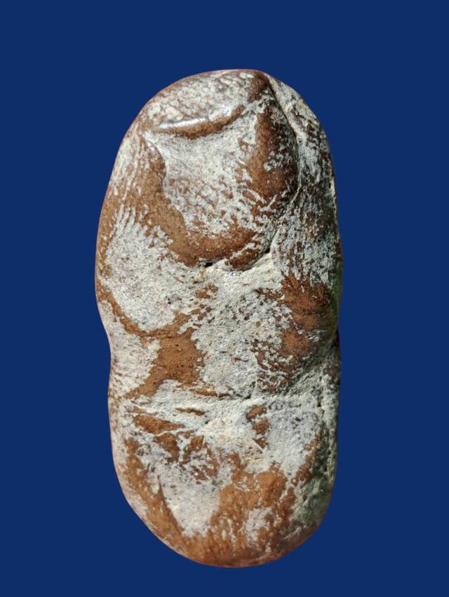 เปิดจ้า💞สนใจทักแชทได้เลยนะคะ 💚ส่งฟรีค่ะ 🥰 รูปที่ 3