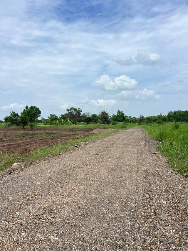 ขายที่ดิน ทำเลดีสำหรับทำโกดัง บ้านออฟฟิศ พิกัดคลองห้า คลองหลวง จ.ปทุมธานี 4