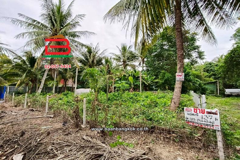 ที่ดินเปล่า ท่านัด-ดำเนินสะดวก เนื้อที่ 137 ตร.ว (ใกล้โรงพยาบาลส่งเสริมสุขภาพตำบลท่านัด) ตำบลท่านัด อำเภอดำเนินสะดวก จังหวัดราชบุรี 1