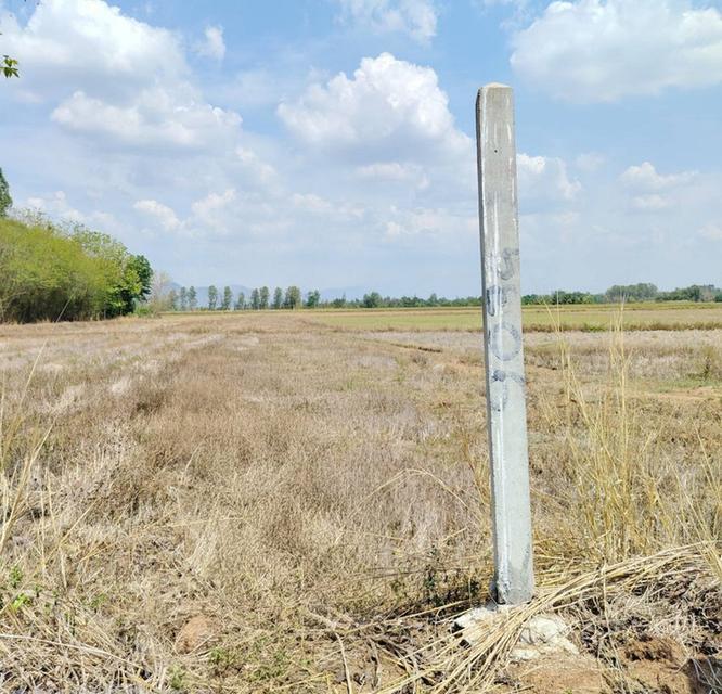 ขายที่ดินเปล่า วิวเขา 2 ไร่ ตำบลท่าข้าม อำเภอชนแดน เพชรบูรณ์ ใกล้อุทยานแห่งชาติเขาค้อ 3