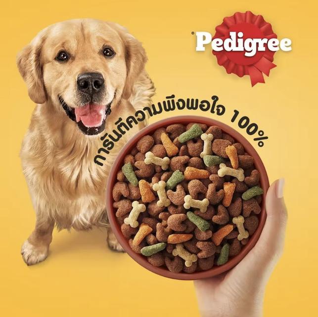 อาหารสุนัข Pedigree 3
