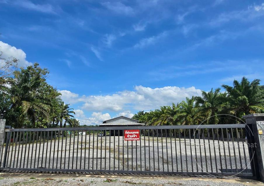 ที่ดินพร้อมโกดังและสำนักงาน 3