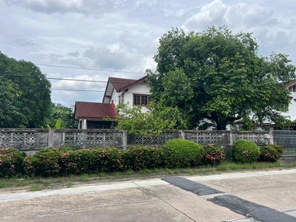 ขายที่ดินหายาก ครึ่งไร่กว่า เหมาะสร้างบ้าน ซอยติดมหาวิทยาลัยเกษตรศาสตร์บางเขน 1