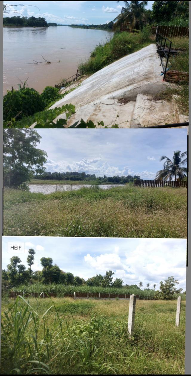 ขายที่ดินติดริมน้ำปิงกำแพงเพชร 9