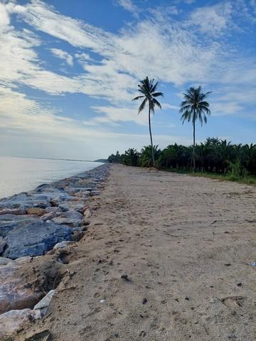 พื้นที่ดิน ที่ดินติดหาดทรายแก้ว ท่าศาลา จ.นครศรีธรรมราช 61283750 บ. พื้นที่ = 2 ตาราง-วา 1 Ngan 12 ไร่ ใกล้กับ ติดหาดหาด 5