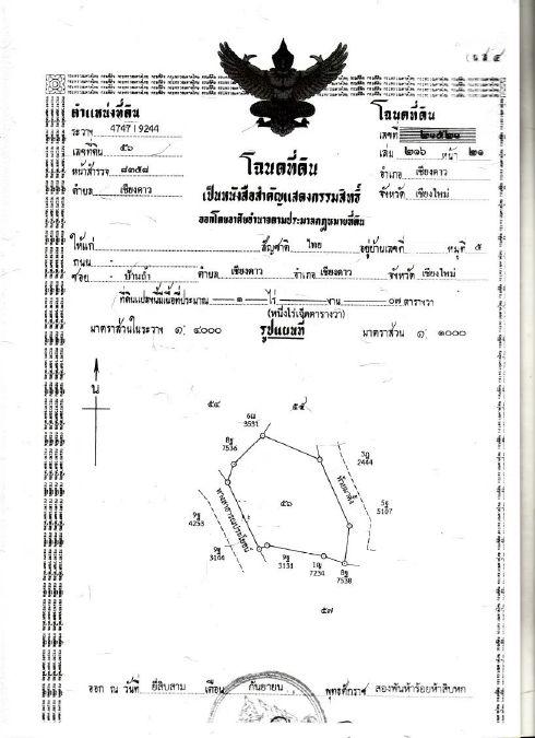 ++ขายที่ดินราคาถูก++โฉนดพร้อมโอน เหมาะทำรีสอร์ท เรือนแพ ใกล้วัดถ้ำผาปล่อง ถ้ำปากเปียง ถ้ำเชียงดาว เชียงใหม่ 8